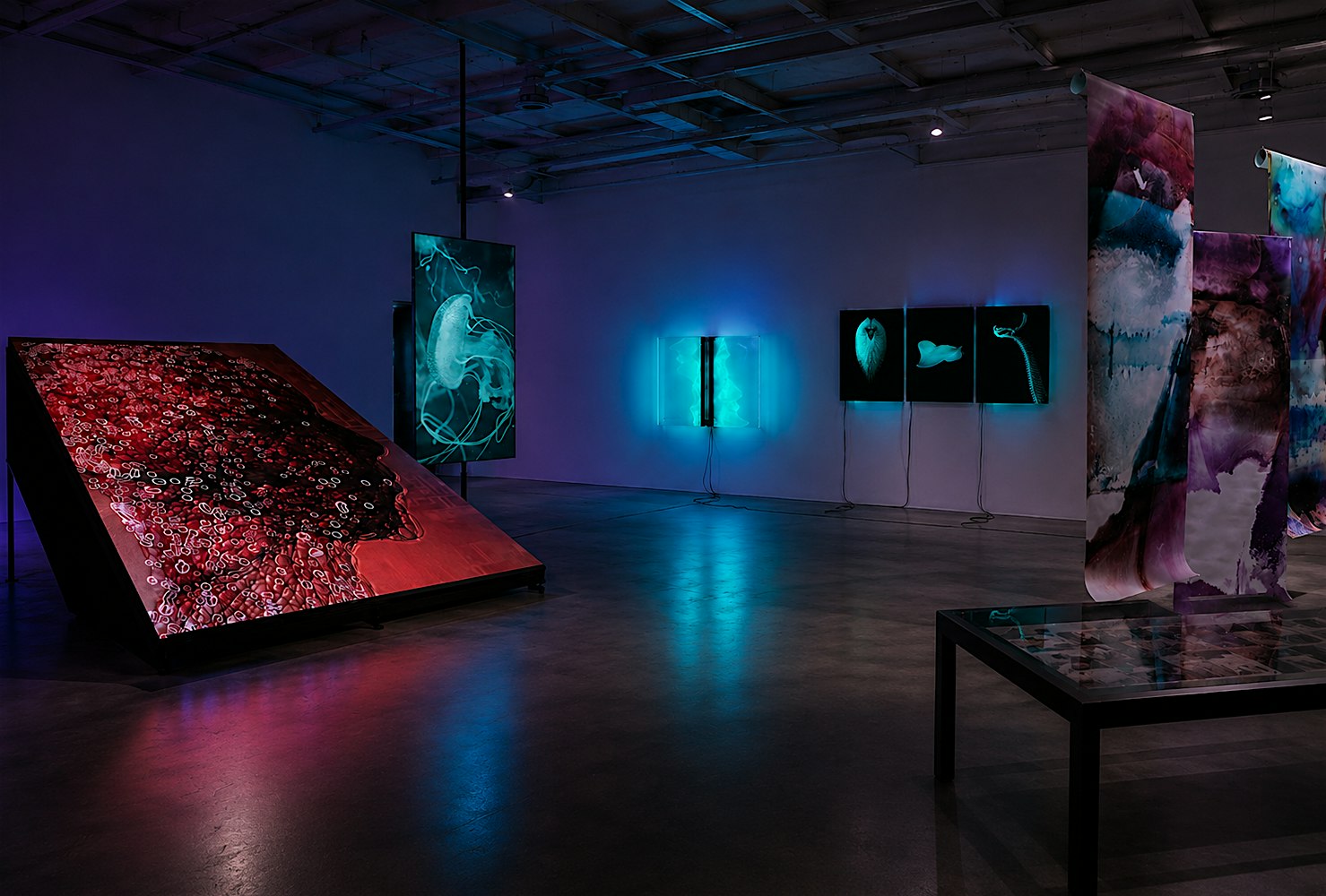VIP Opening and Drinks Reception: Symbolic Vault, Istanbul