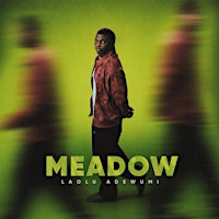 LAOLU ADEWUMI - MEADOW EP LISTENING PARTY