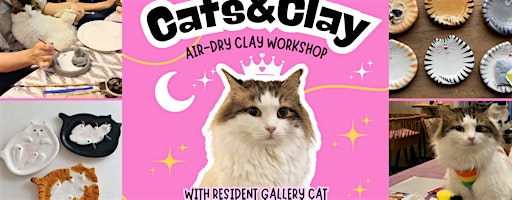 Cats&Clay - clay workshop in cat gallery with resident cat
