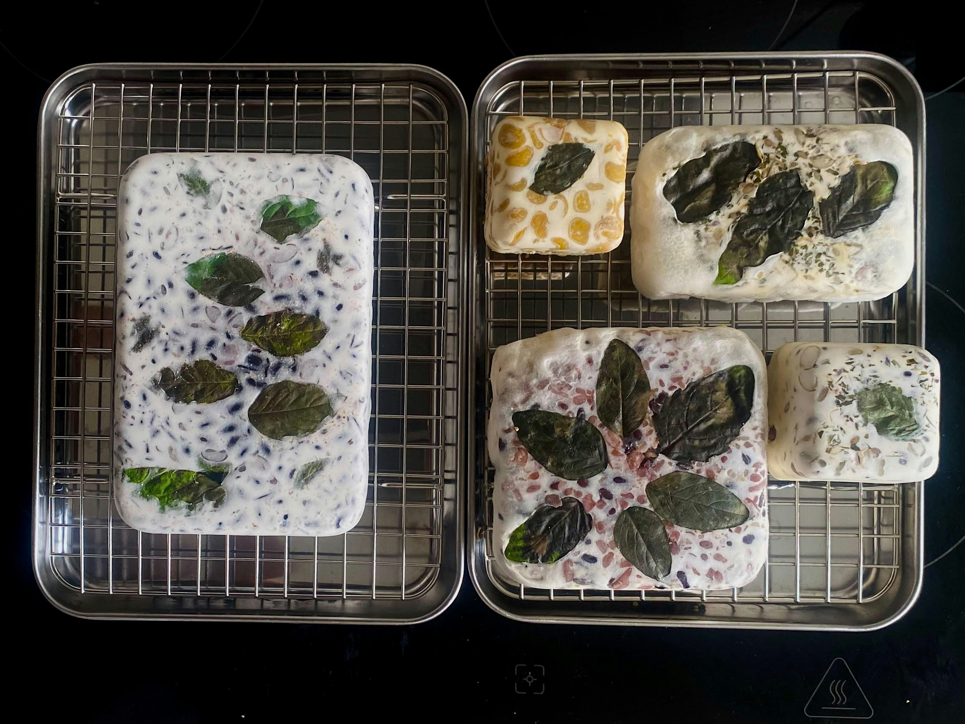 Fermenta Collective: Tempeh, from Home to Berlin