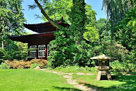 Foto-Workshop im Japanischen Garten Leverkusen