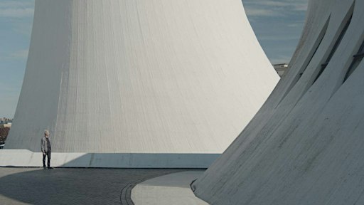 Regards sur Niemeyer