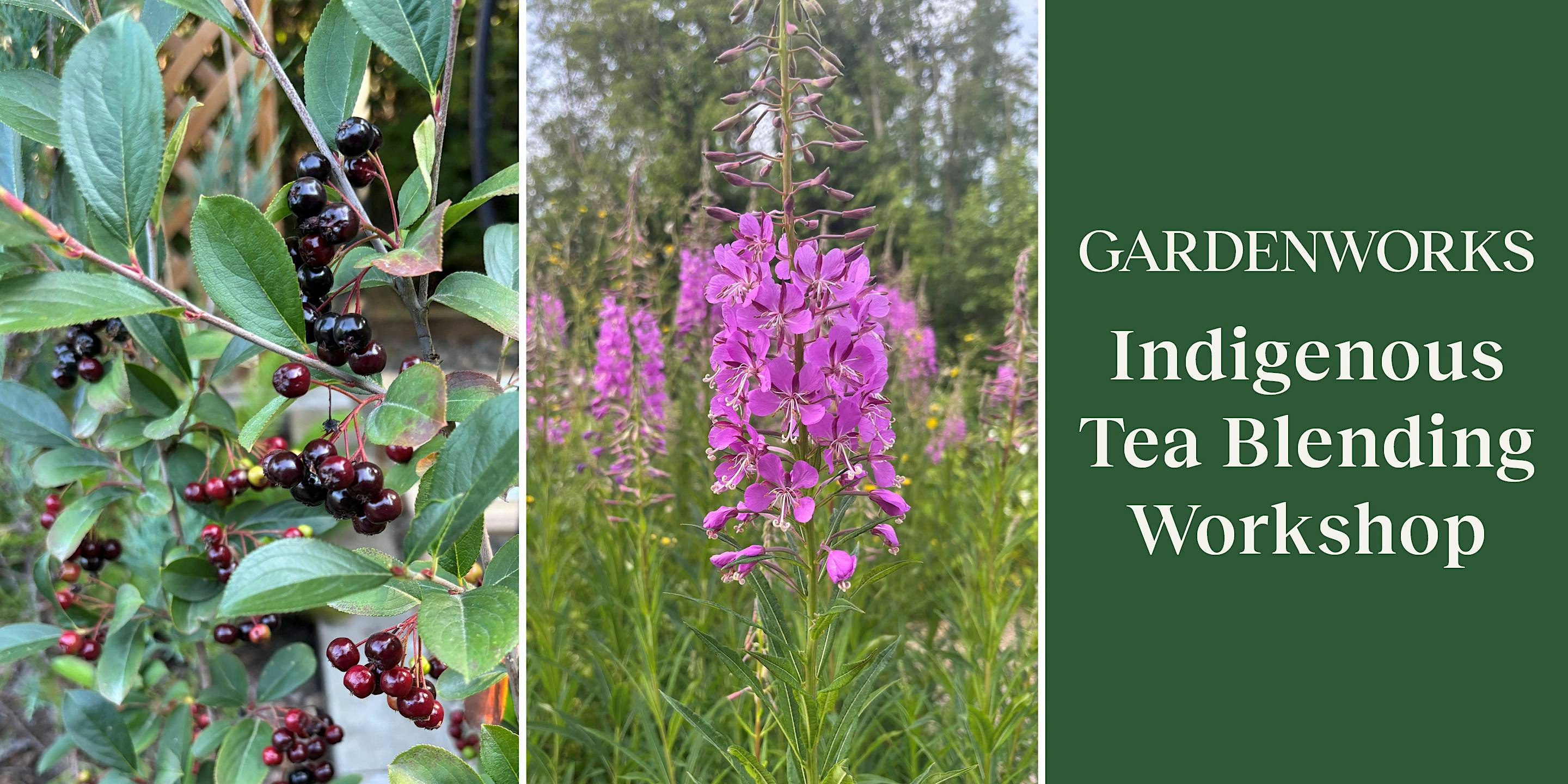 Indigenous Tea Blending Workshop at GARDENWORKS North Shore