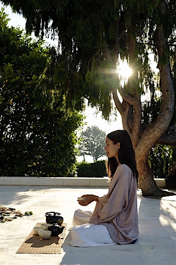 Tea Meditation — Returning to Stillness