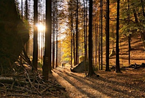 Bohemian Switzerland Autumn Escape: Jetřichovice Views & Forest Trails