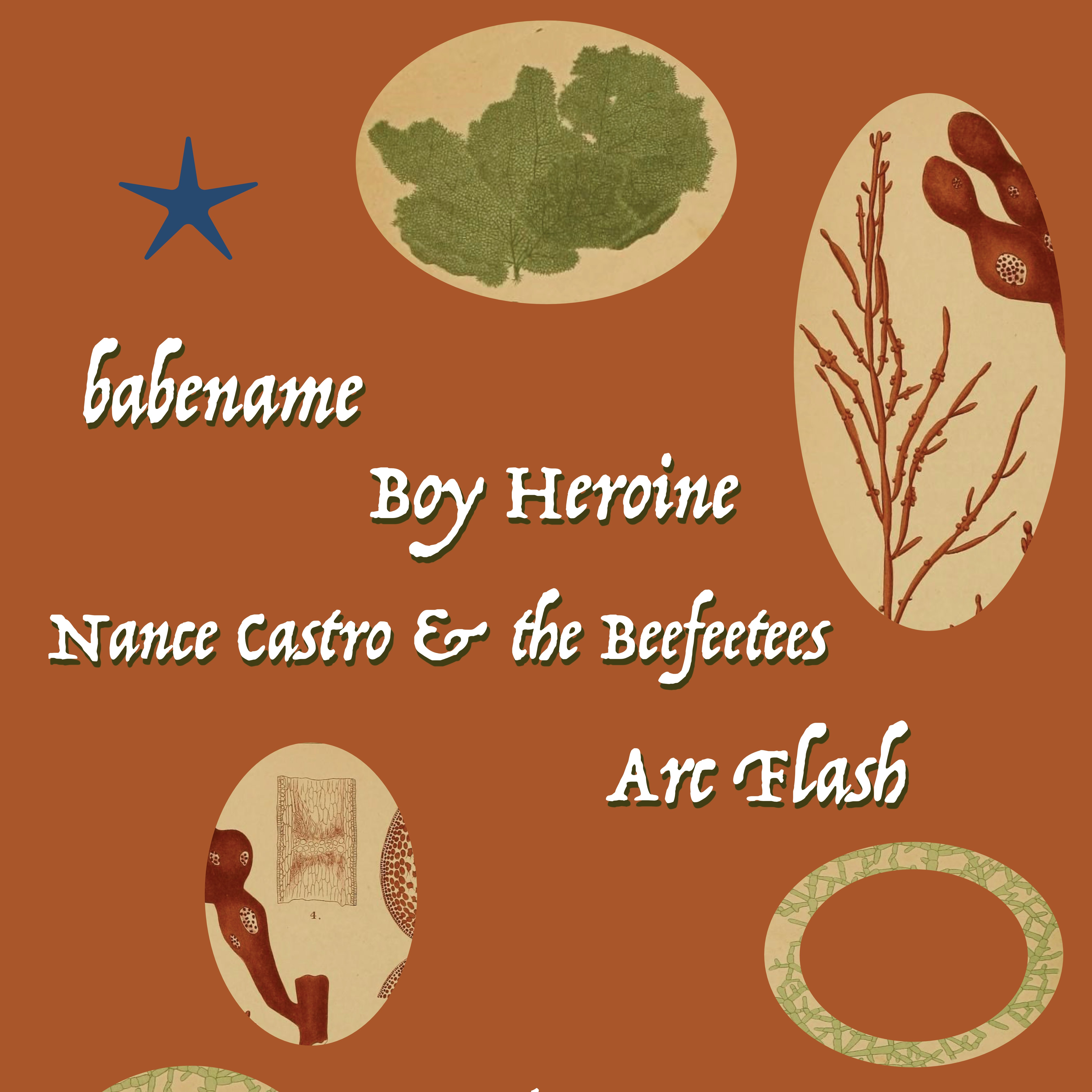 Arc Flash, Boy Heroine, babename, Nance Castro & the Beefeetees,