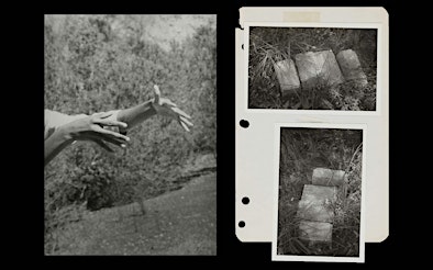 Public Opening | Divination: Beverly Buchanan & Dionne Lee