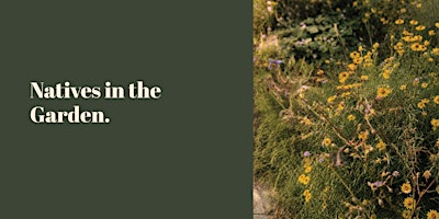 Natives In The Garden