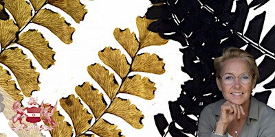 Herbarium | Plants in a New Light