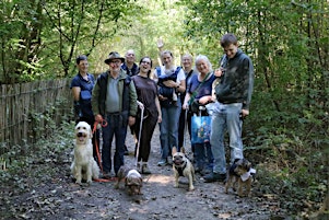 FestiWalk 2026