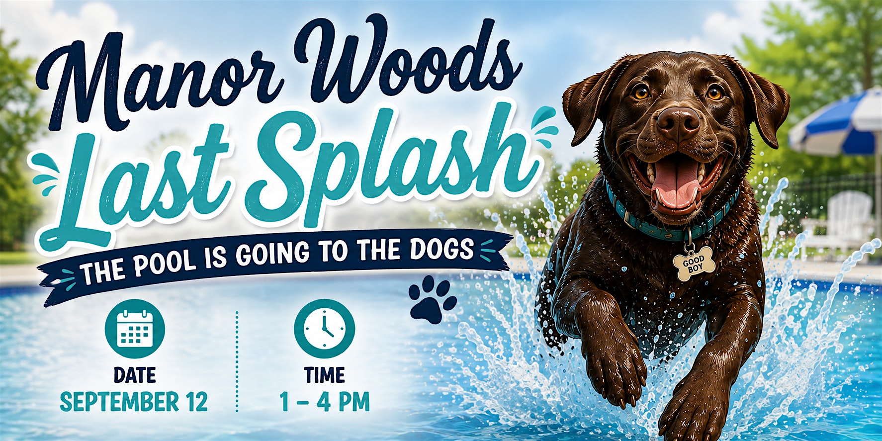 The Pool is Going To The Dogs!