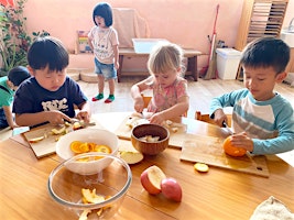 Visit Island Waldorf School: Group Tour