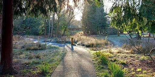MHA The Wilderness forest bathing walk (all mobilities welcome)