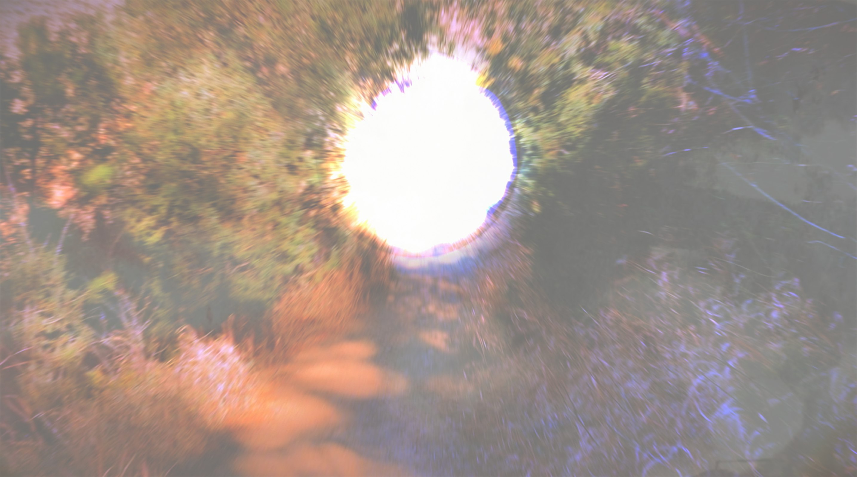 Ever Deeper Towards The Light