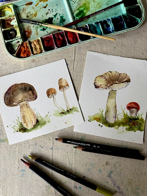 Autumn Mushrooms in Watercolour at Ollie Quinn