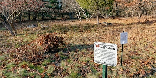 90mm Meadow History and Ecology Hike