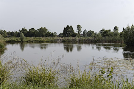 Passeggiata naturalistico-teatrale da Colognola all'Area Umida