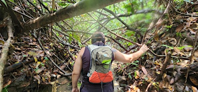 Eco-Hike and Stream Tracing