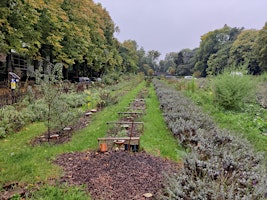 Les Sens du potager