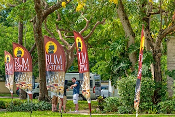 17th Annual Miami Rum Renaissance Festival