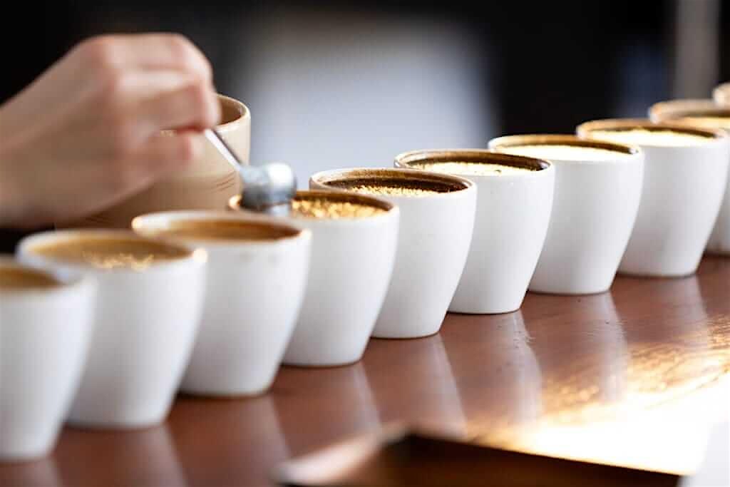 Coffee Know How : Cupping Class