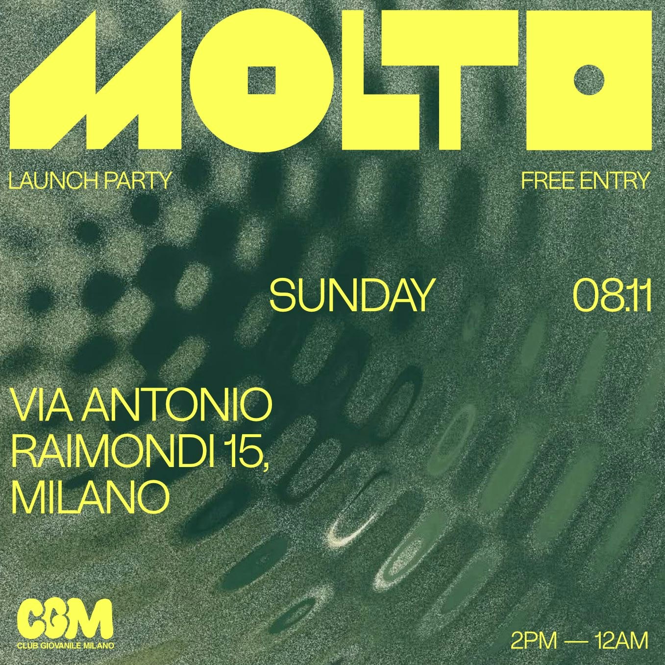 MOLTO Launch Party