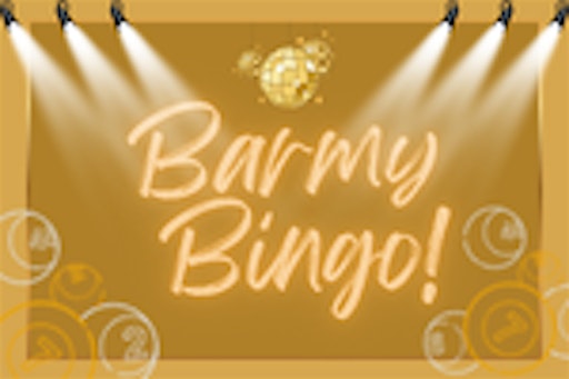 Barmy Bingo - Celebrating 20 years!