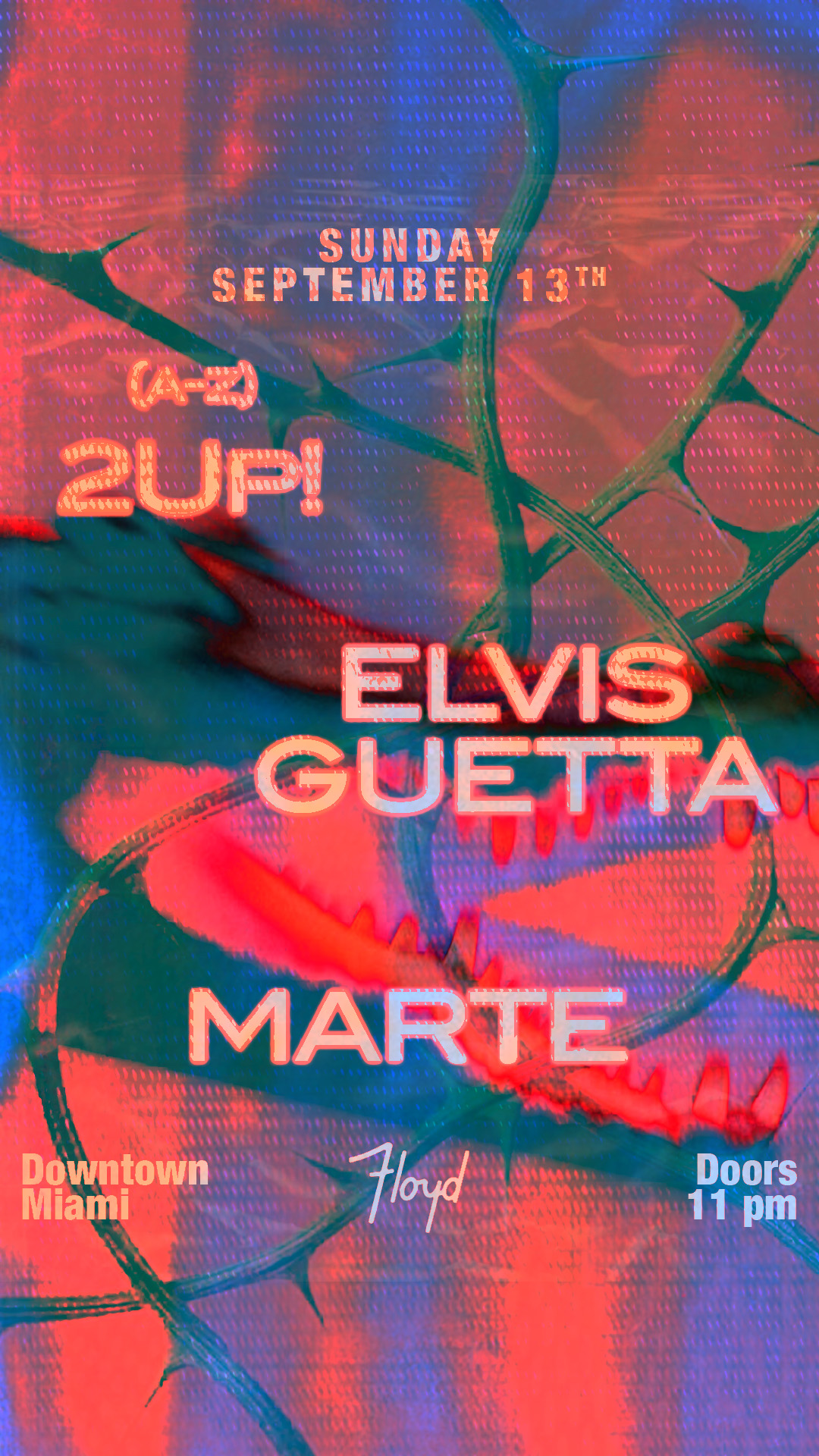 Elvis Guetta