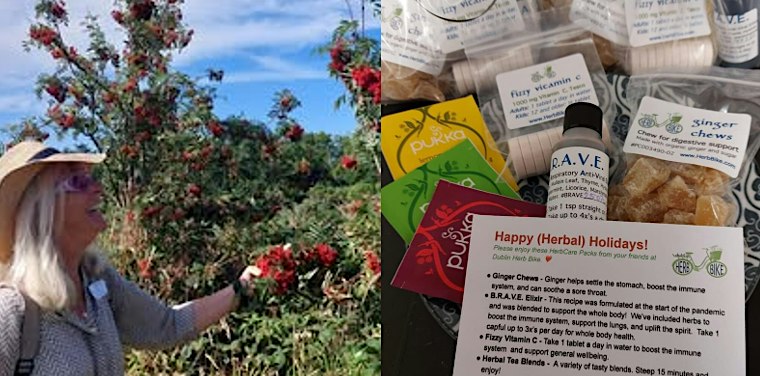 BuzzFest Workshop: Plant Ramble along the Royal Canal with Dublin Herb Bike
