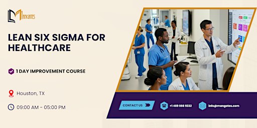 Lean Six Sigma for Healthcare: 1 Day Improvement Course in Houston