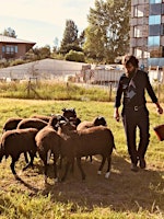 Ville-Campagne : visite des dernières prairies intra urbaines de Bruxelles