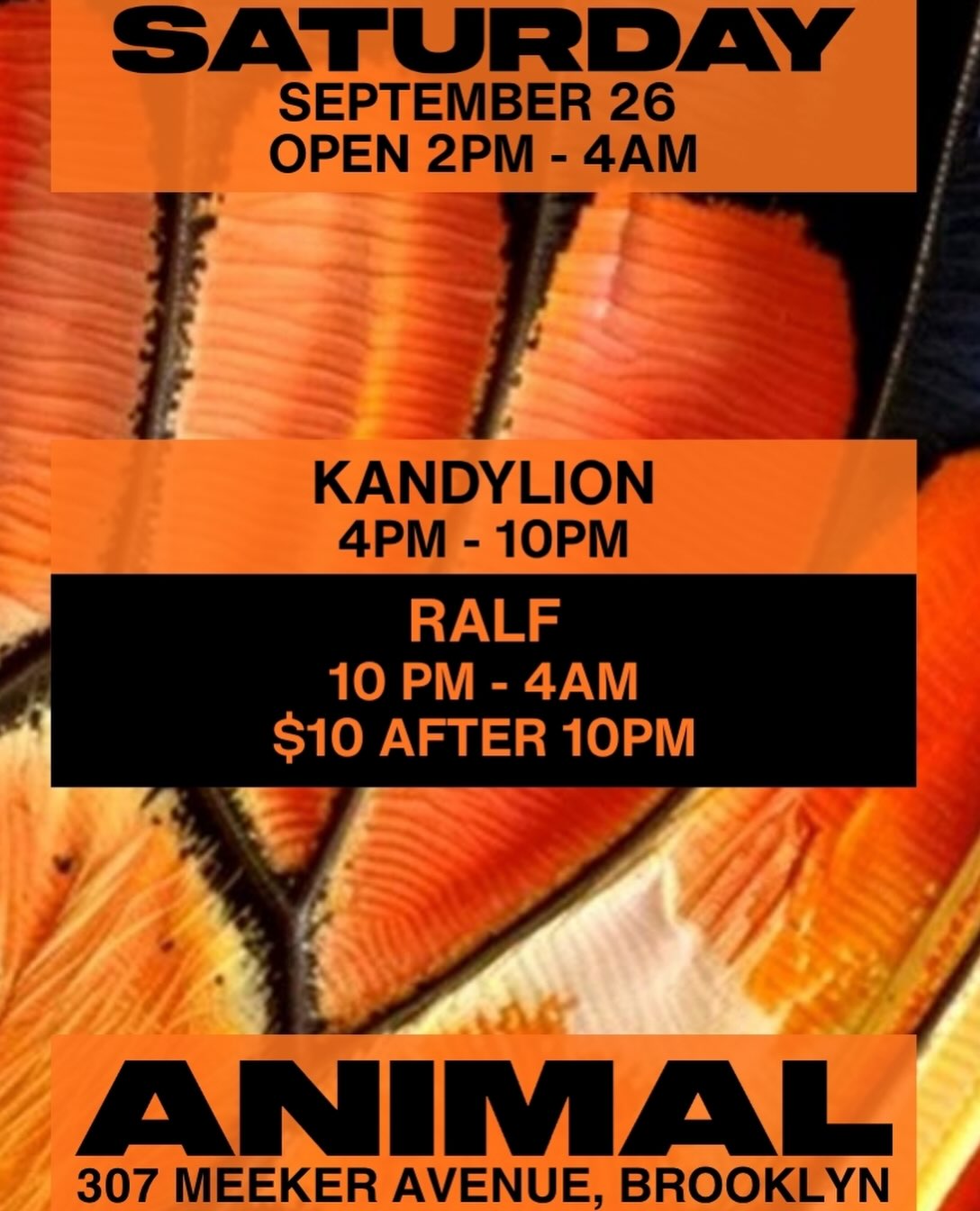 ANIMAL Saturday w/ Kandylion, Ralf