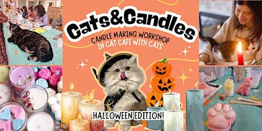 Cats&Candles: candle making workshop in cat cafe with cats - Halloween